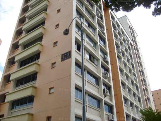 Blk 123 Mcnair Spring (Kallang/Whampoa), HDB 4 Rooms #405412